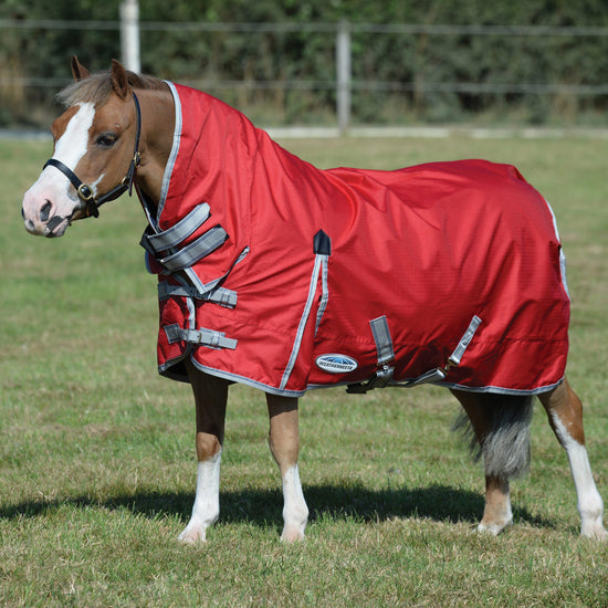 ComFiTec Classic 100g Medium/Lite Weight Combo Turnout Rug Red/Silver/Navy