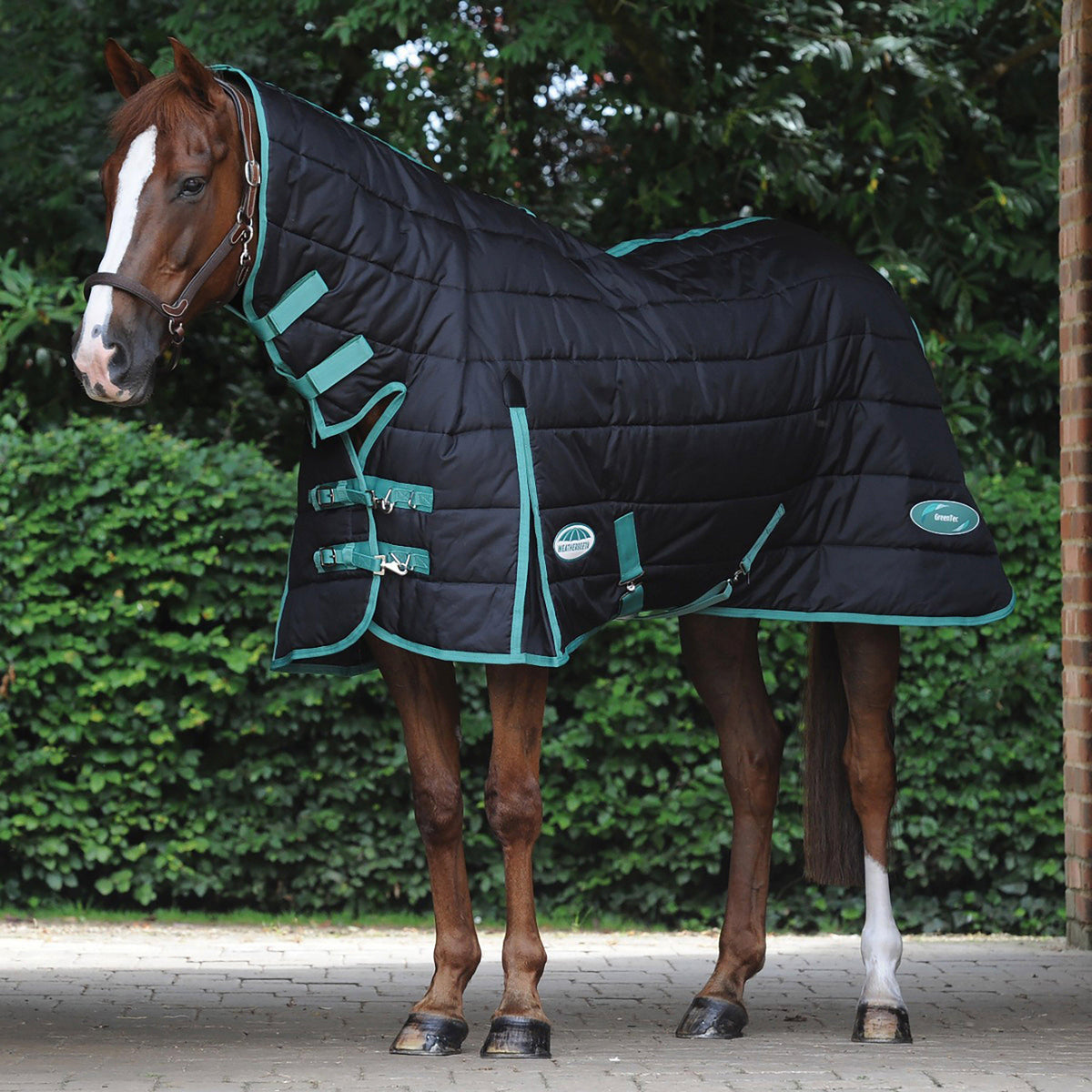 Green-Tec 150g Medium/Lightweight Combo Neck Stable Rug Black/Bottle Green