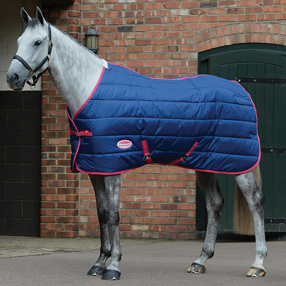 ComFiTec 210D Channel Quilt 250g Medium Weight Standard Neck Stable Rug Blueberry/Pink