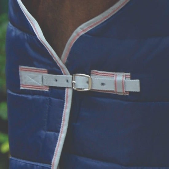 ComFiTec 210D Channel Quilt 250g Medium Weight Standard Neck Stable Rug Blueberry/Pink