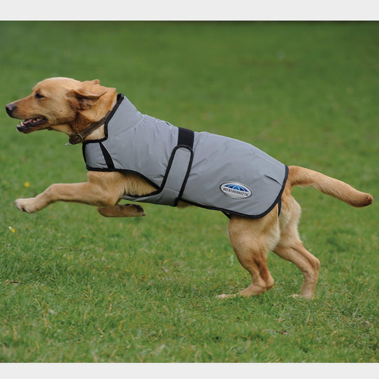 ComFiTec Reflective 220g Medium Weight Dog Coat Silver