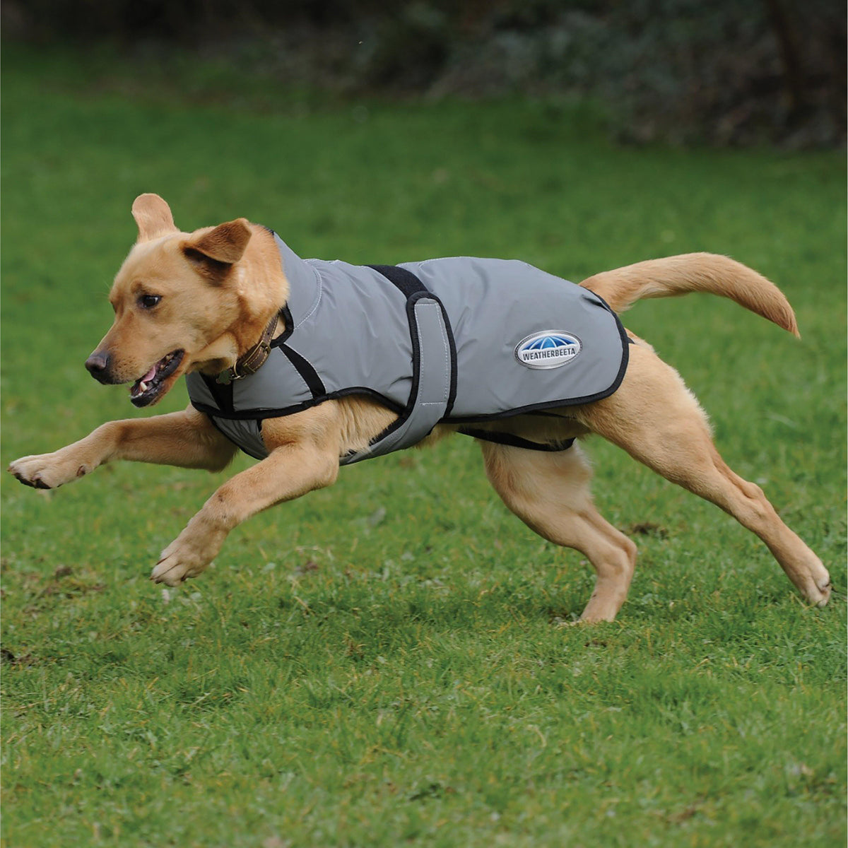 ComFiTec Reflective 220g Medium Weight Dog Coat Silver