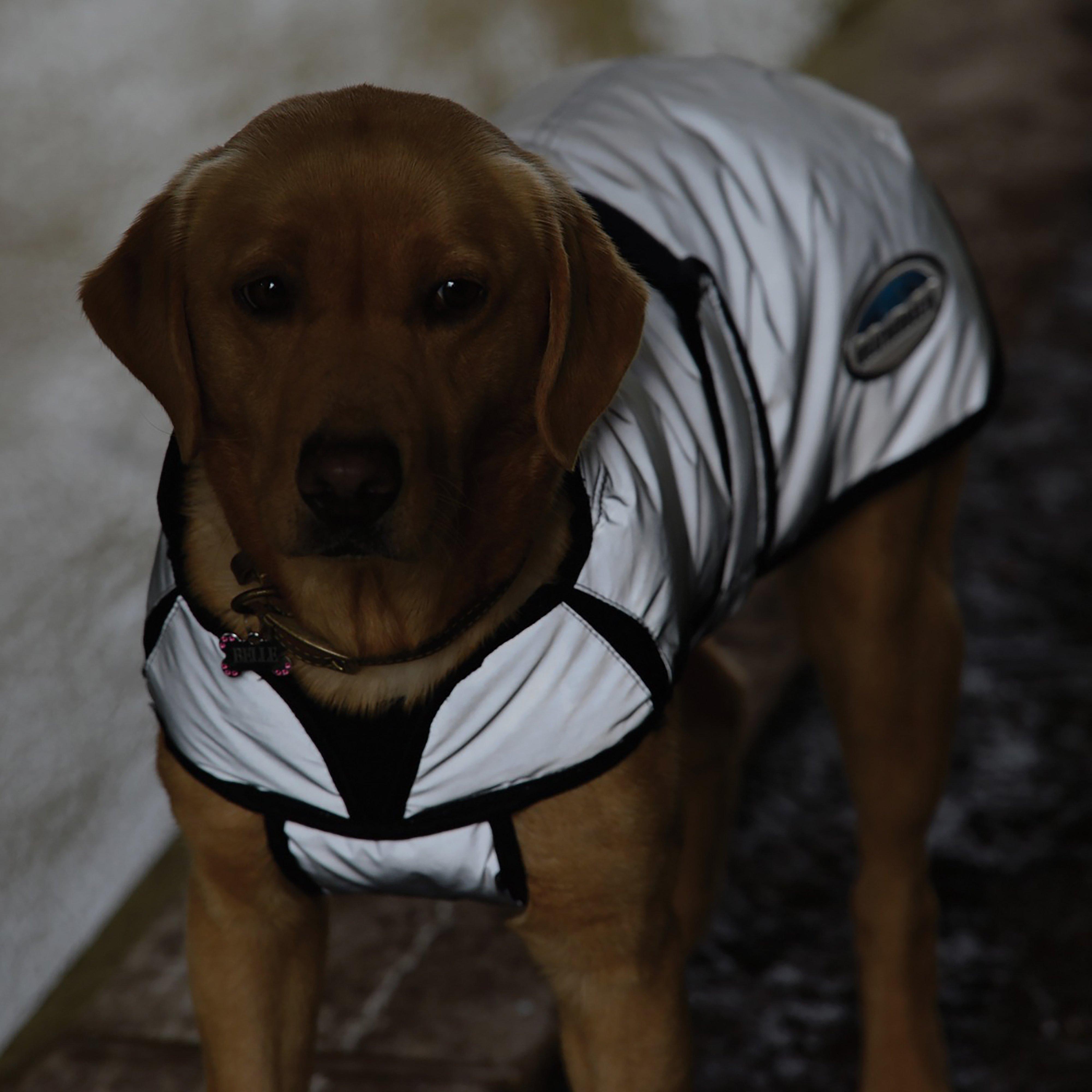 ComFiTec Reflective 220g Medium Weight Dog Coat Silver