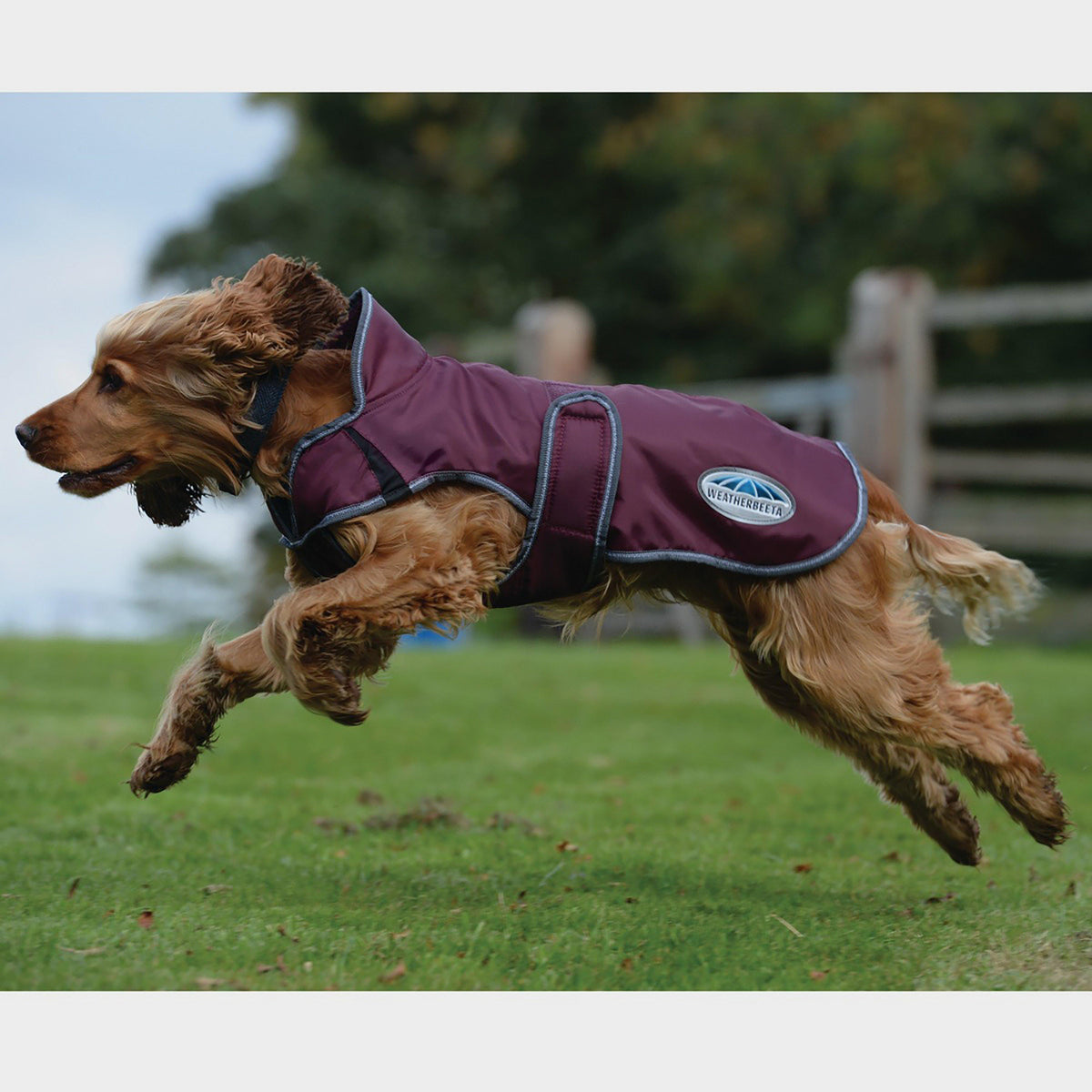 ComFiTec Windbreaker Deluxe Dog Coat Maroon/Grey/White