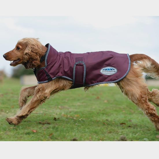 ComFiTec Windbreaker Deluxe Dog Coat Maroon/Grey/White