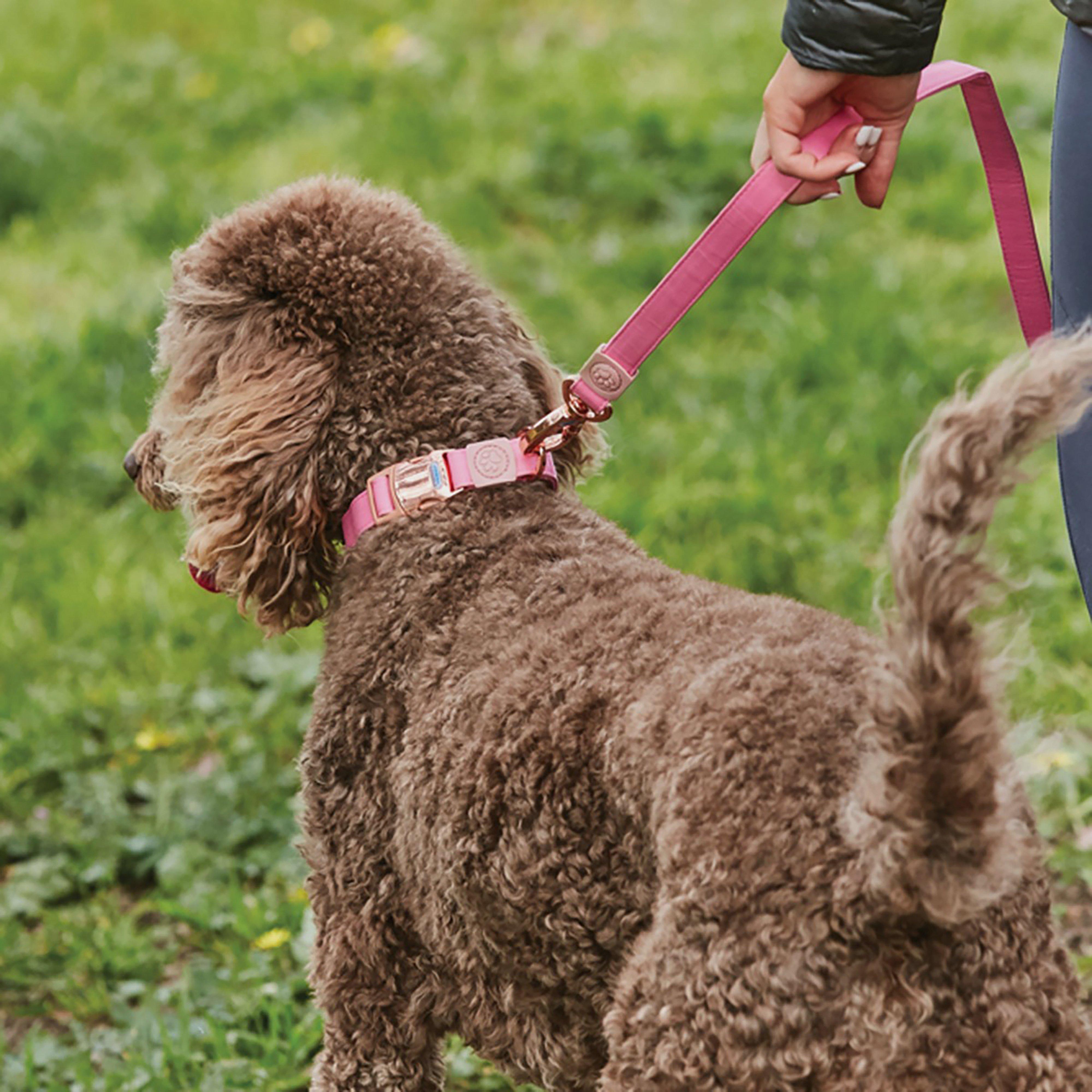 Elegance Dog Collar Pink