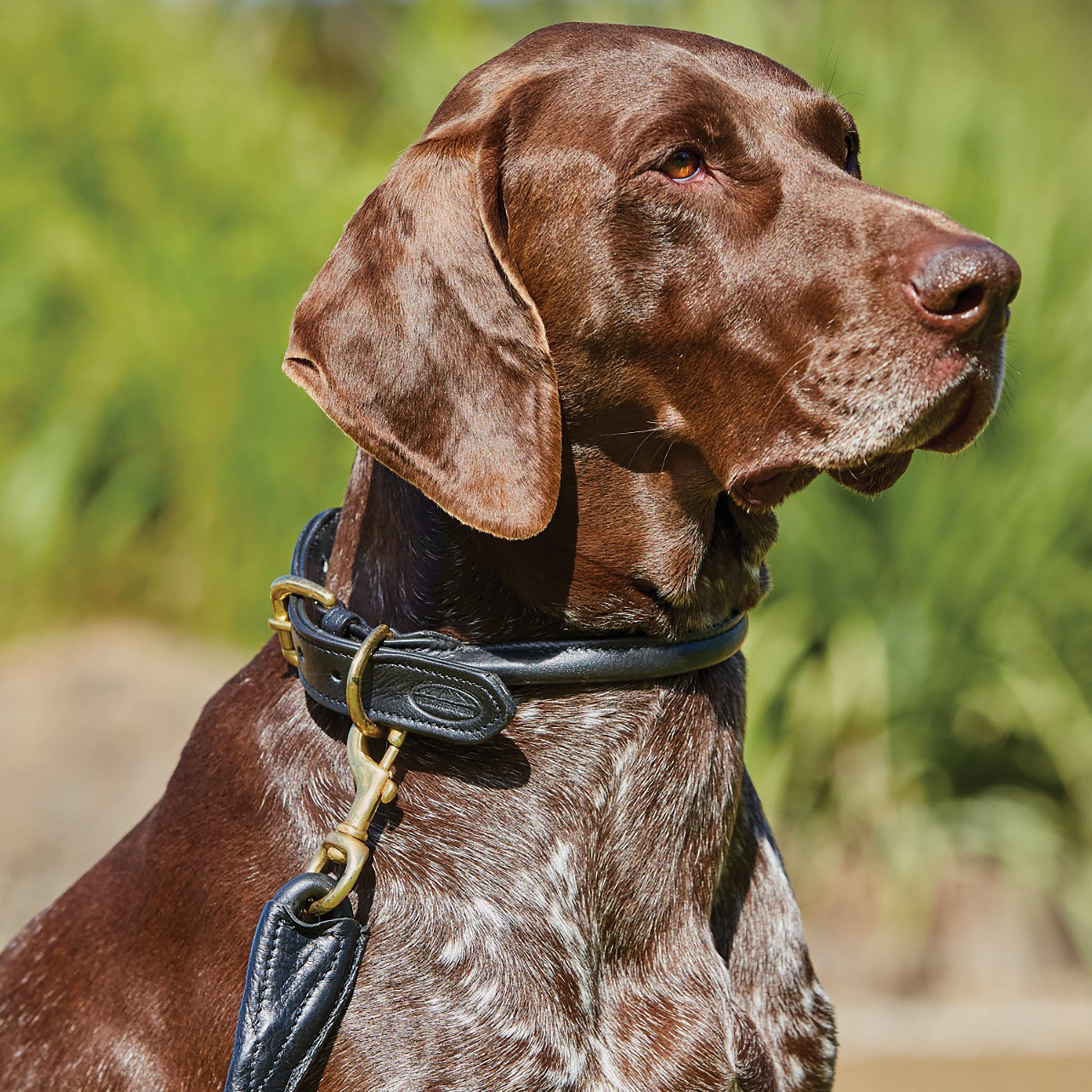 Rolled Leather Lead Black