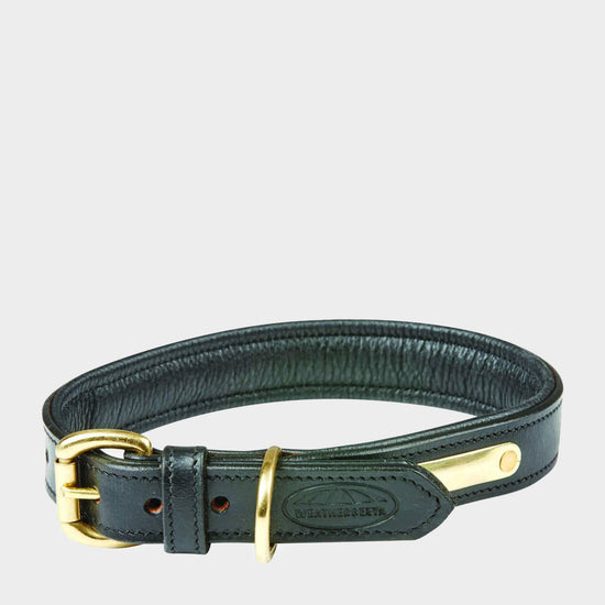 Padded Leather Collar Black
