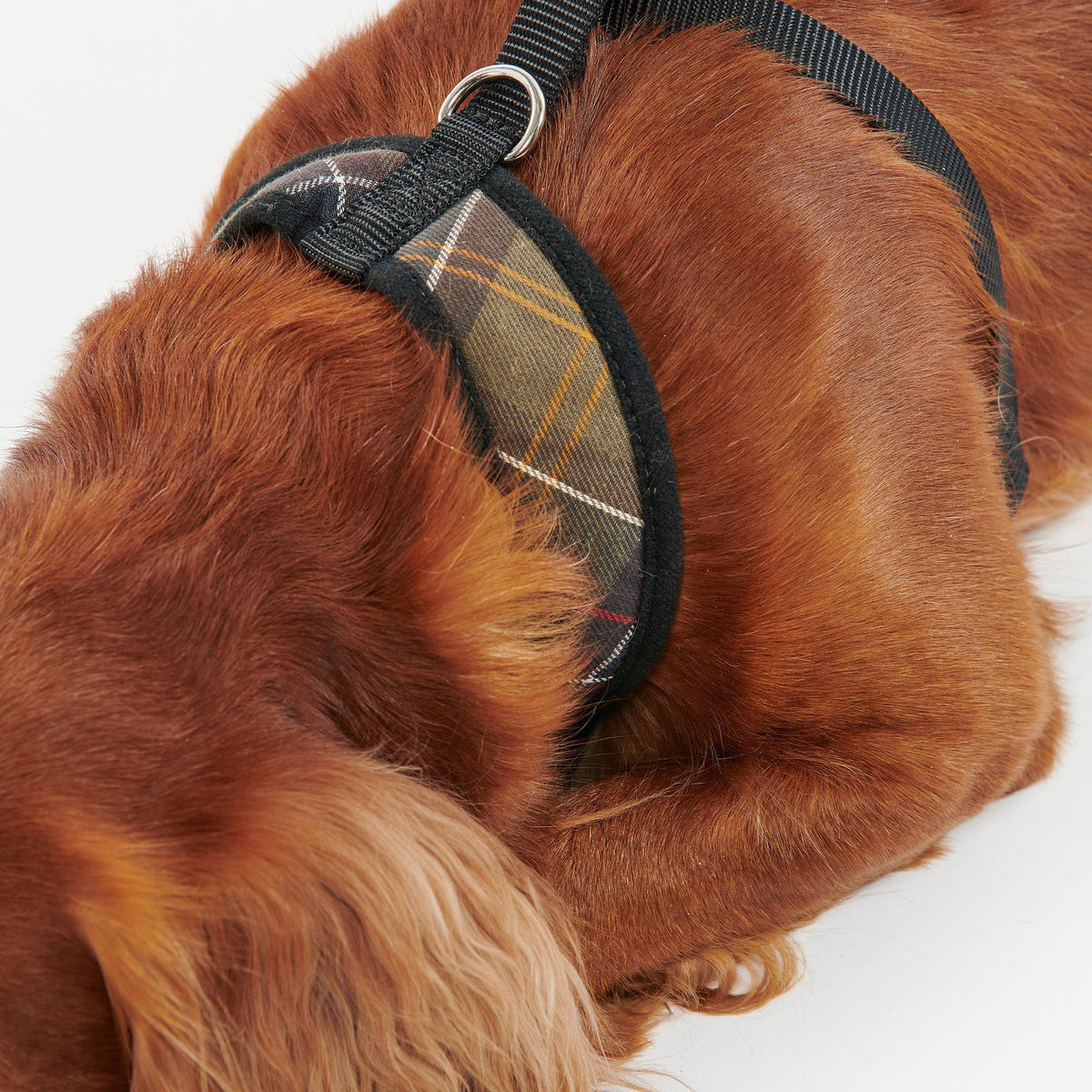 Tartan Dog Harness Classic Tartan