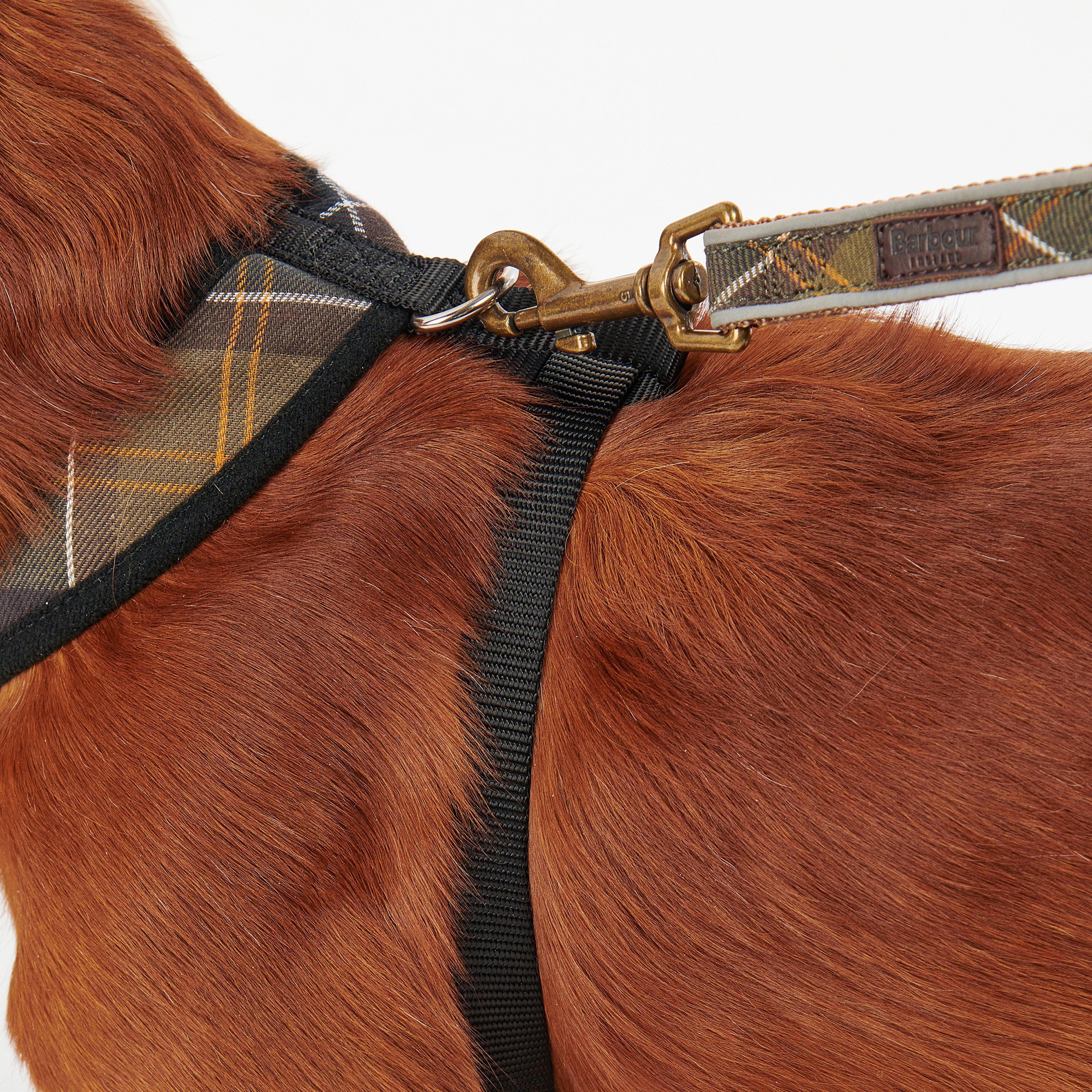 Tartan Dog Harness Classic Tartan