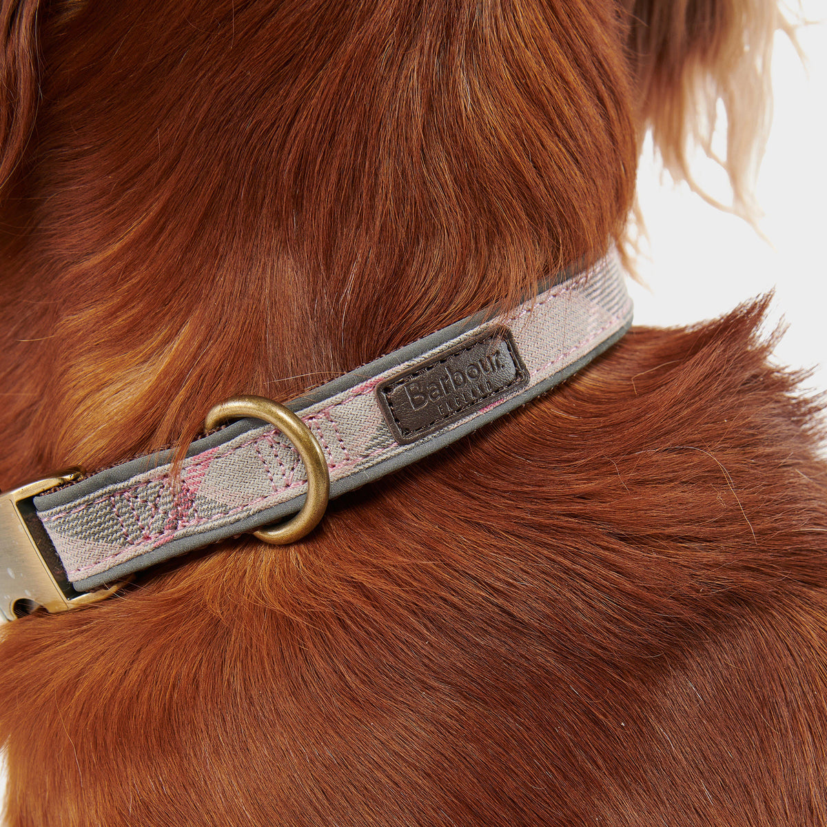 Reflective Tartan Dog Collar Taupe/Pink Tartan