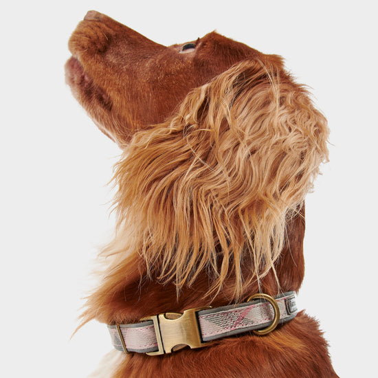 Reflective Tartan Dog Collar Taupe/Pink Tartan