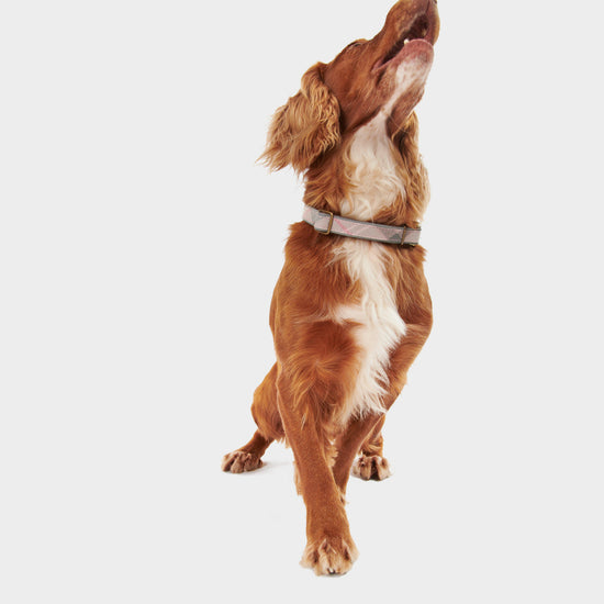 Reflective Tartan Dog Collar Taupe/Pink Tartan
