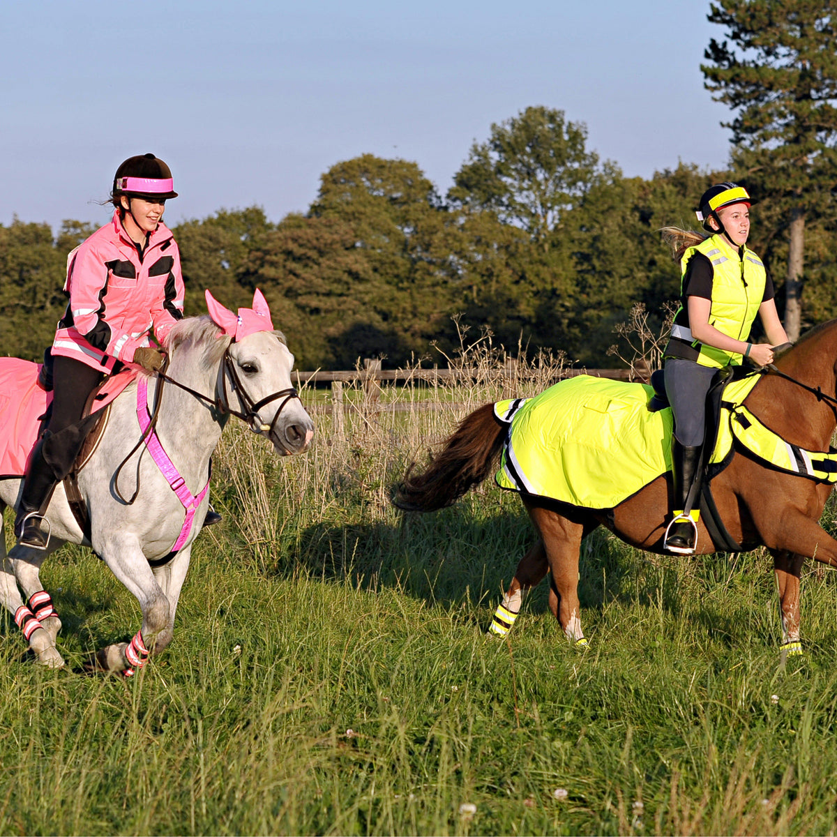 Winter Wrap Around Rug Pink