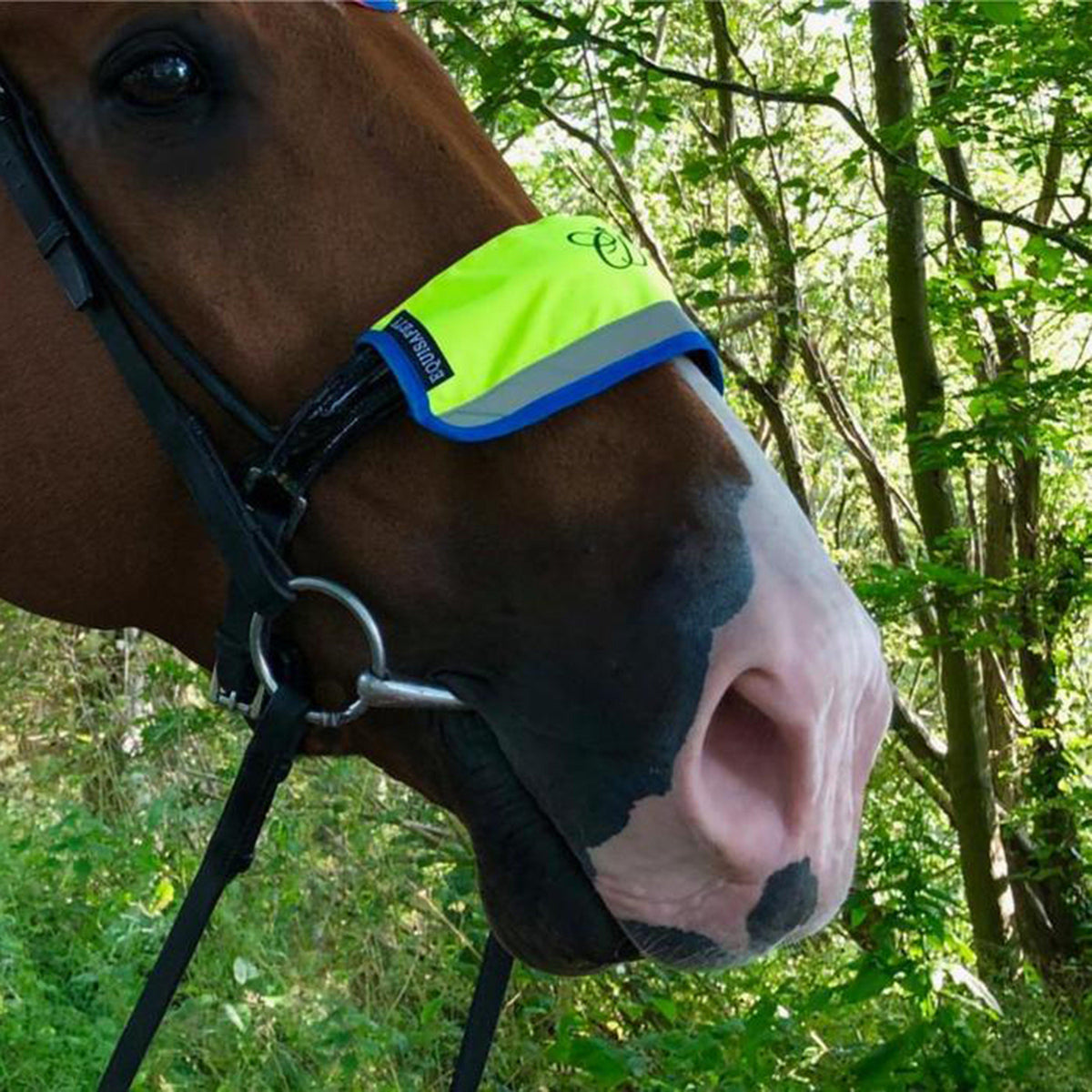 Charlotte Dujardin Multi-Coloured Nose Band Pink/Yellow