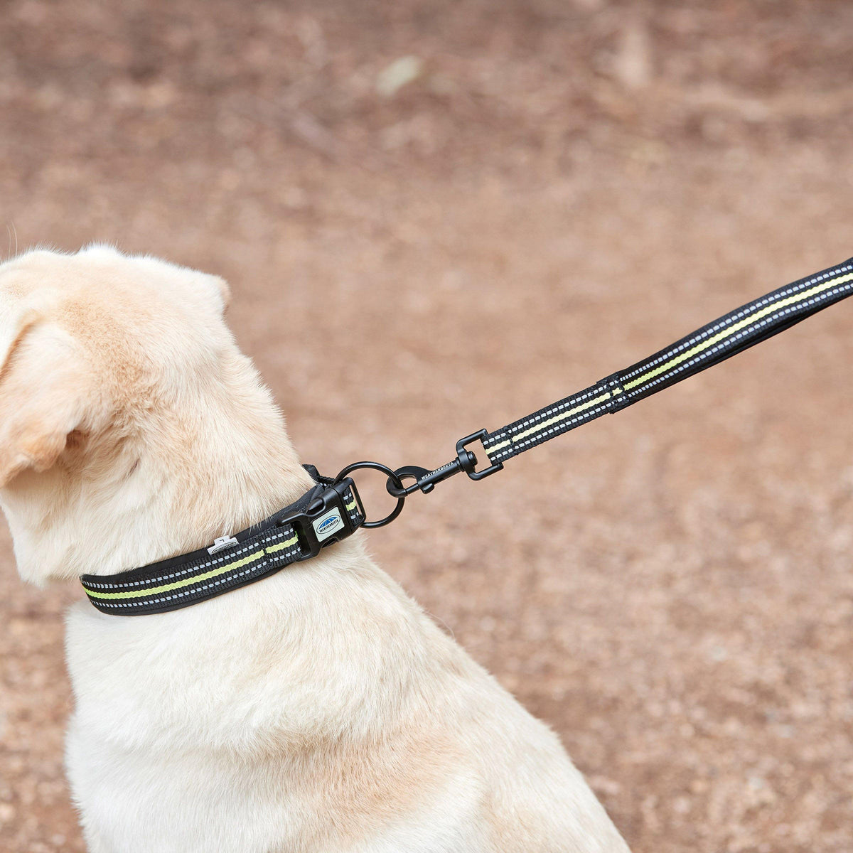 Reflective Dog Collar Black/Yellow