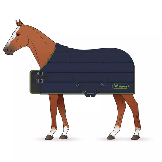 Dunford 200g Medium Weight Stable Rug Navy/Lime