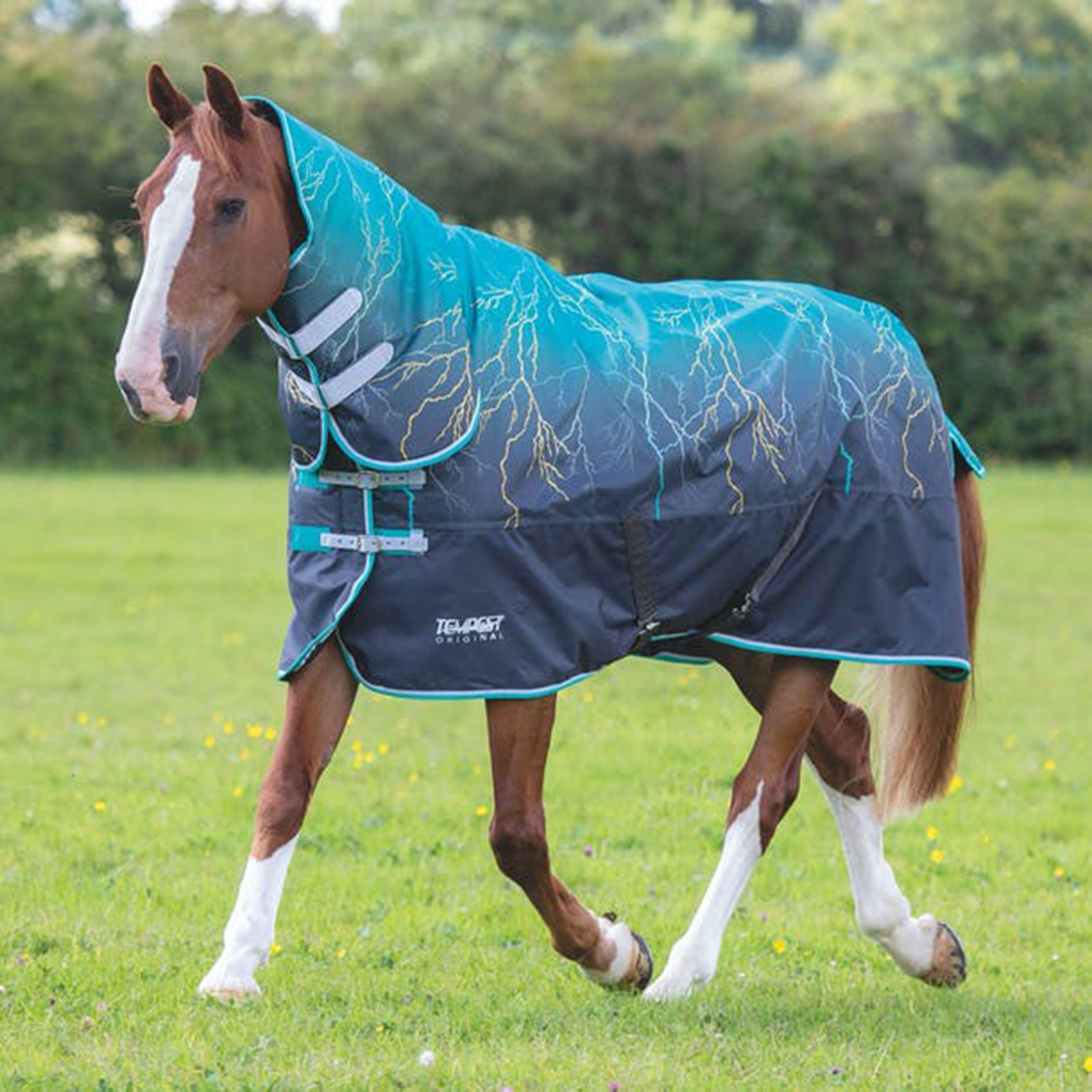 Tempest Original 200g Medium Weight Combo Neck Turnout Rug Teal Lightning