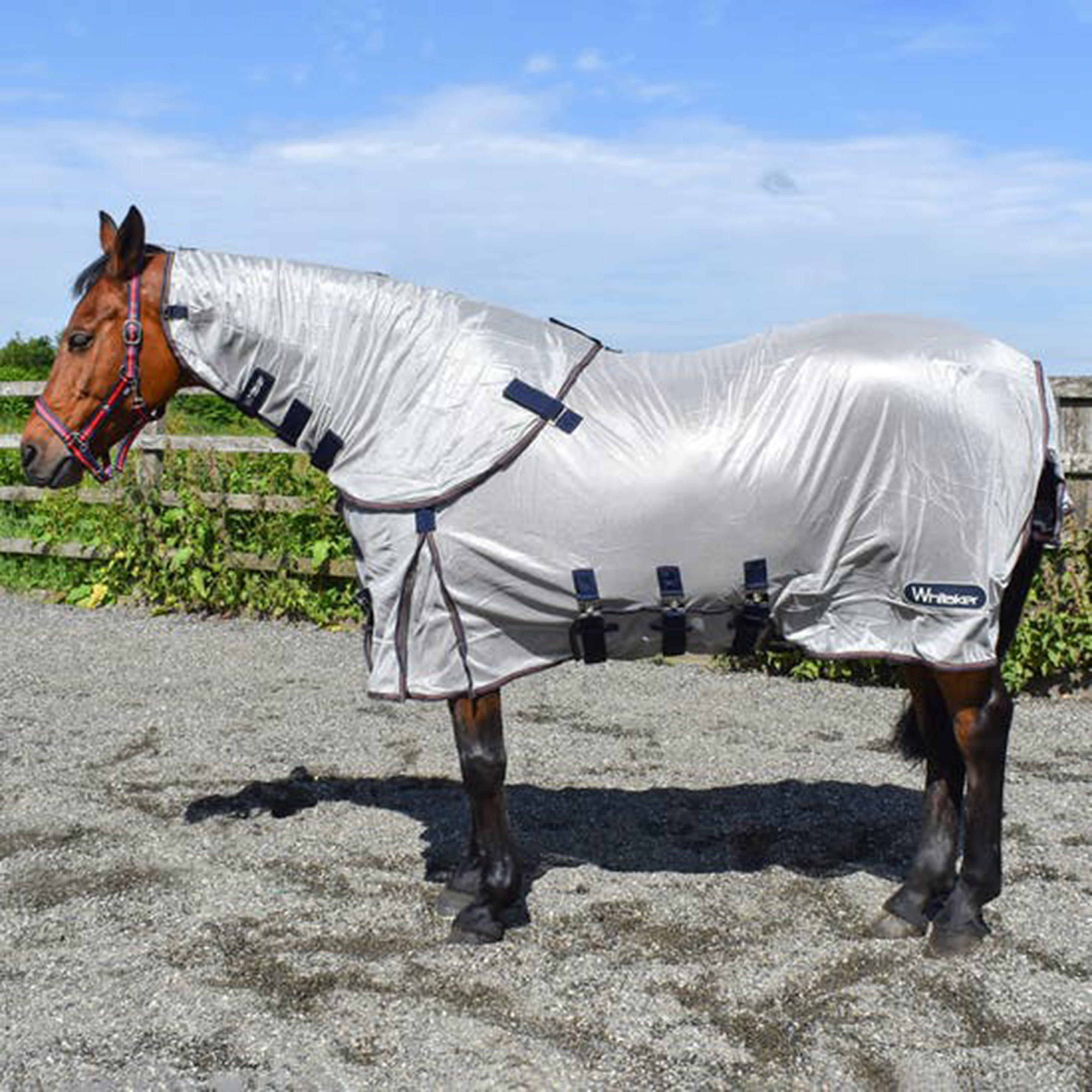 Airton Fly Rug Pearl