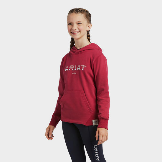 Childs 3D Logo Hoodie Redbud