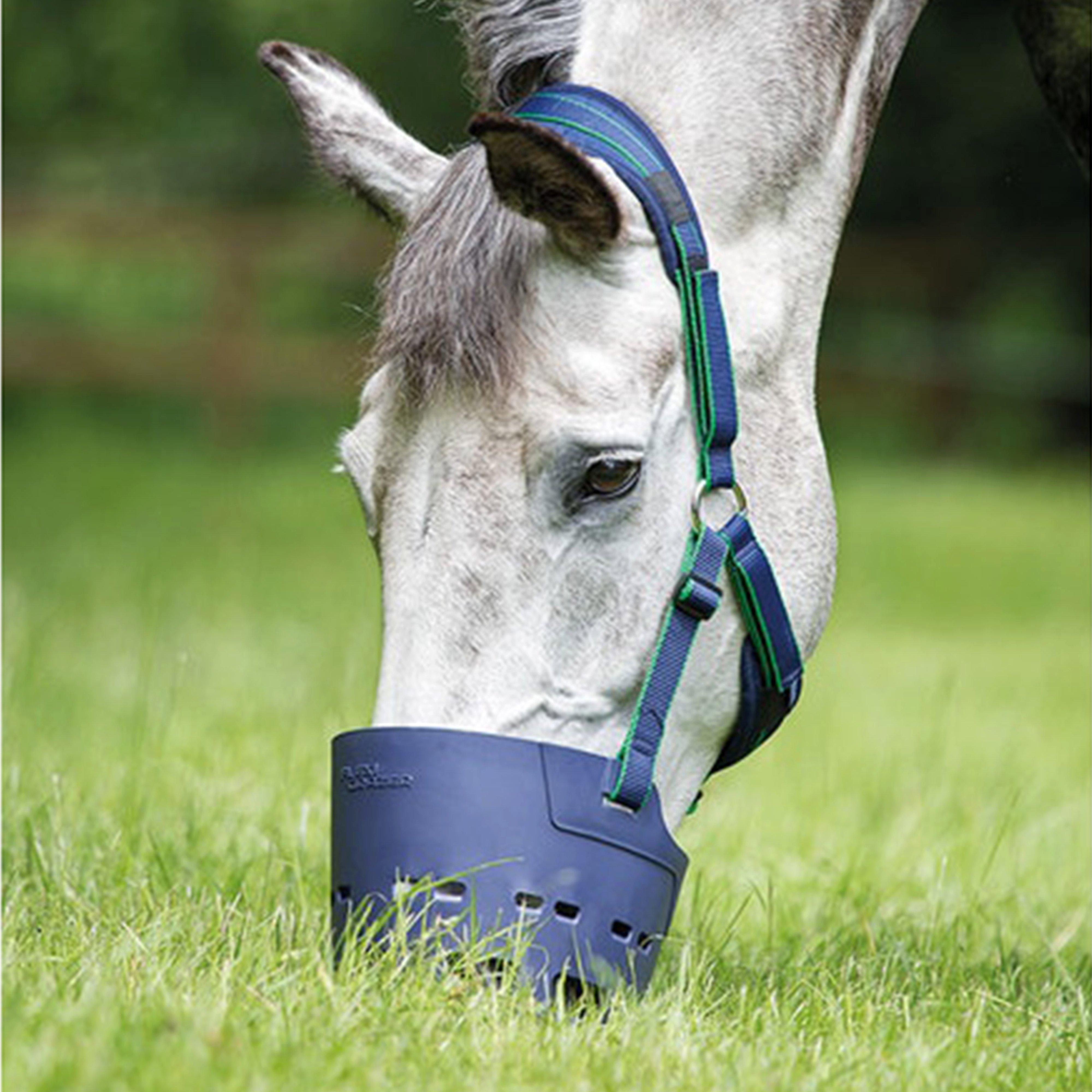 Flexi Grazer Muzzle Navy
