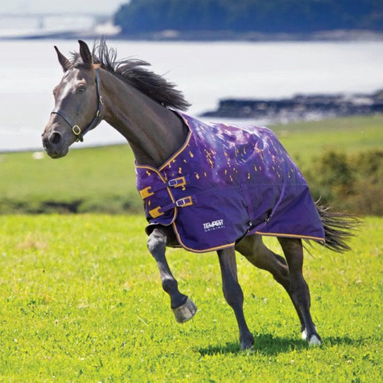 Tempest Original Lite 0g Turnout Amethyst