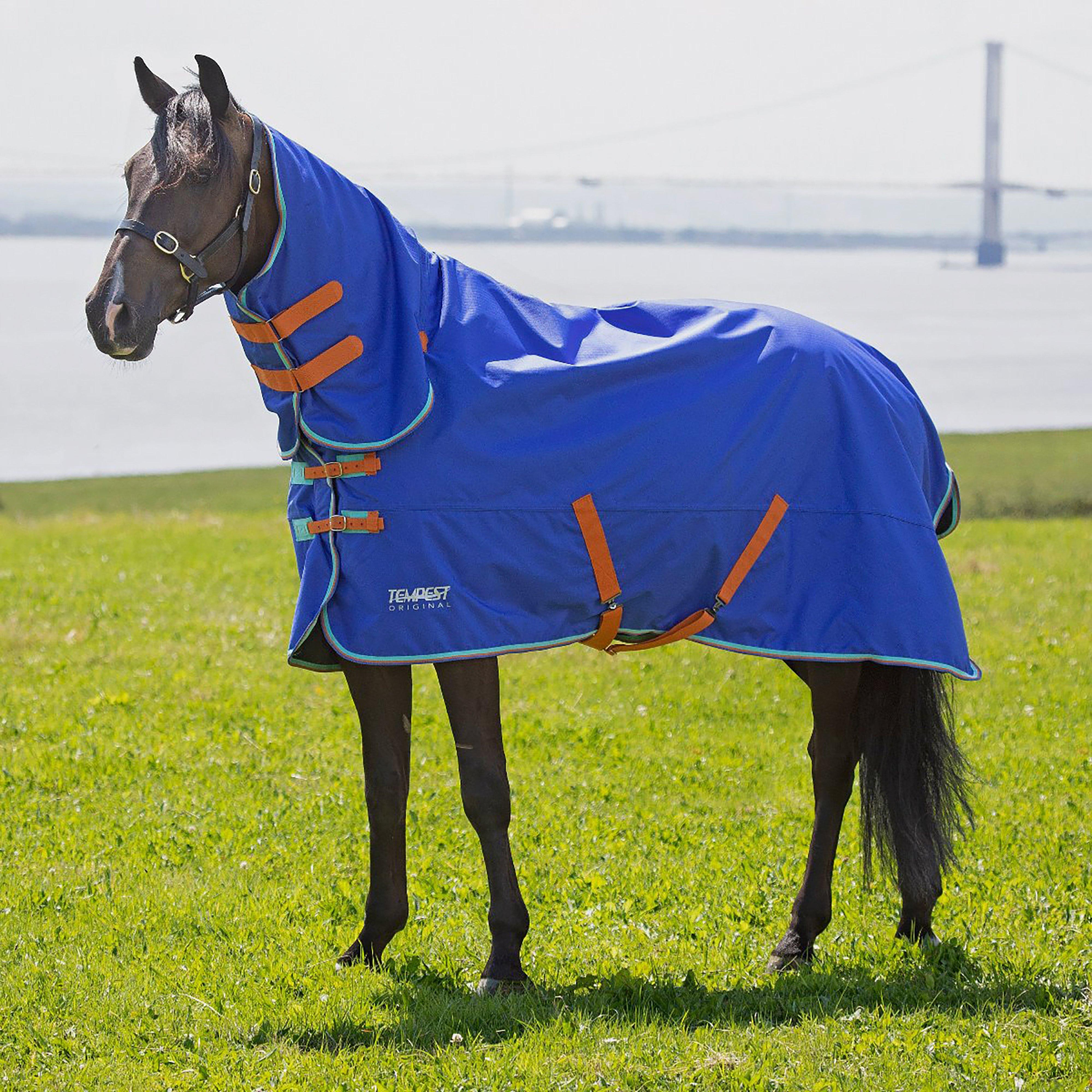 Tempest Original 50g Combo Turnout Royal