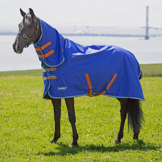 Tempest Original 50g Combo Turnout Royal