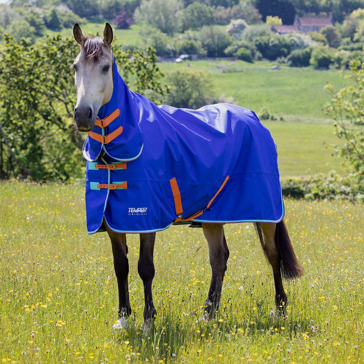 Tempest Original 50g Combo Turnout Royal