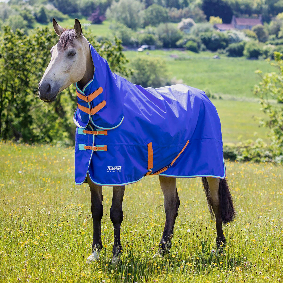 Tempest Original 50g Combo Turnout Royal