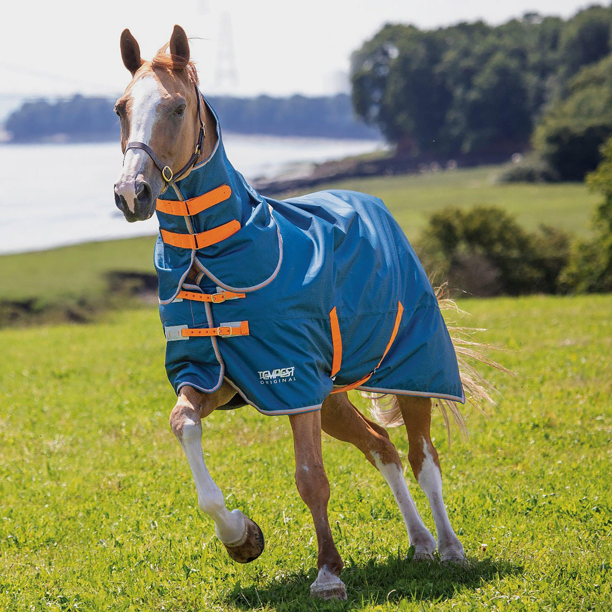 Tempest Original 0g Lite Turnout Rug and Neck Set Teal