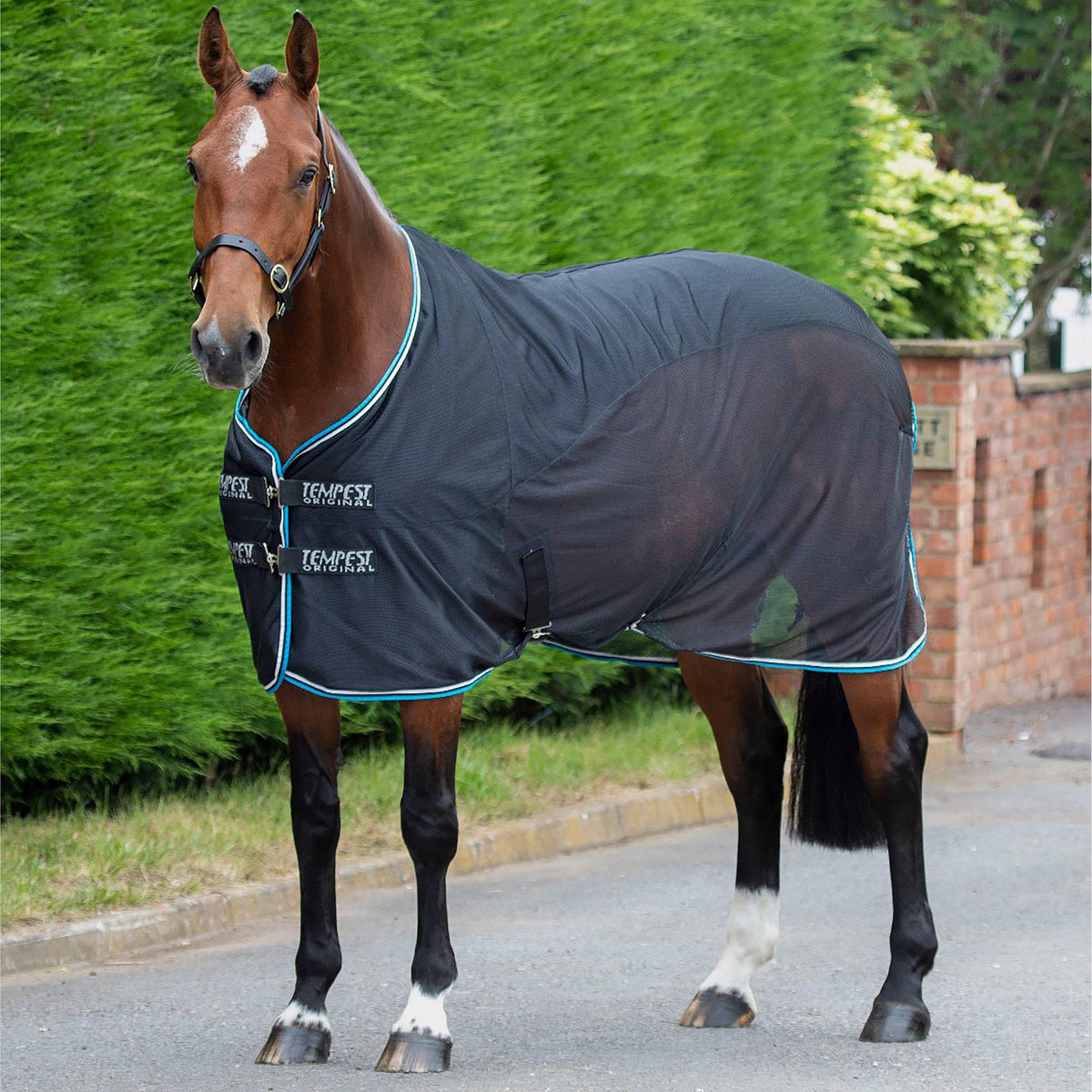 Tempest Original Fleece/Mesh Cooler Black