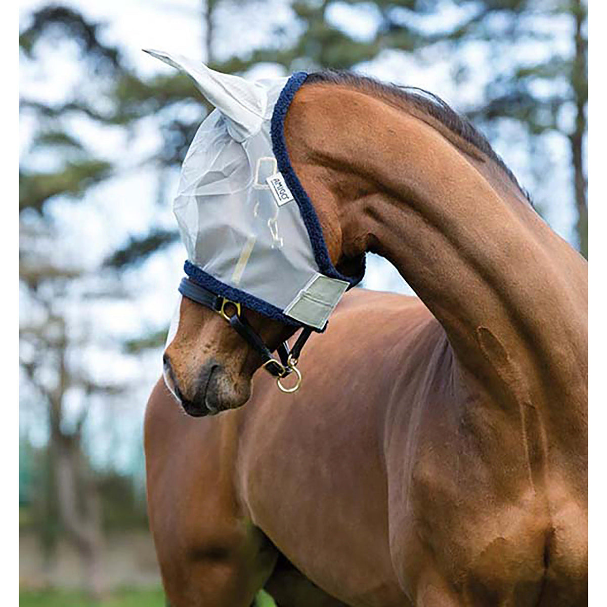 Amigo Fly Mask Baby Blue