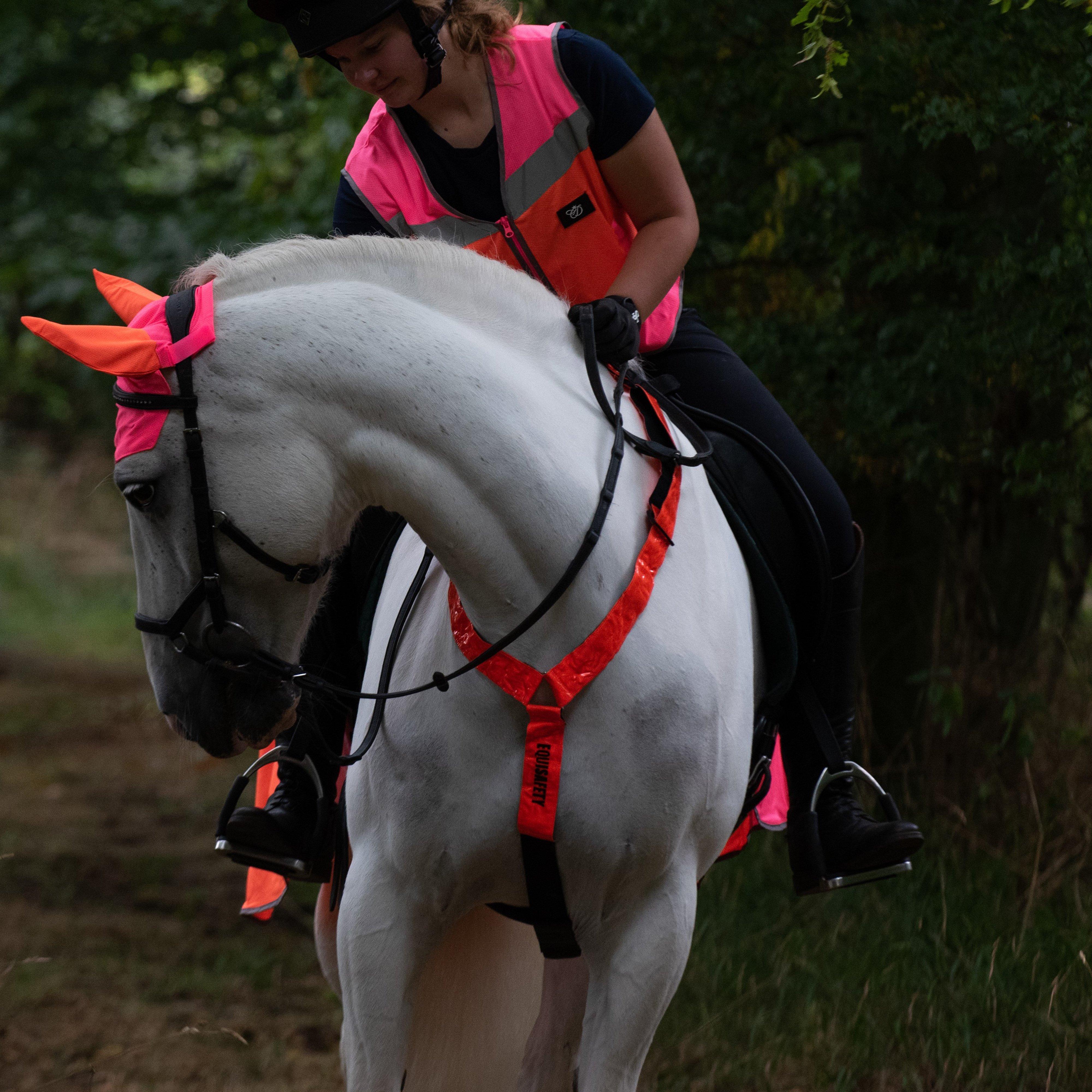 Reflective Horse Wear Neck Band Orange