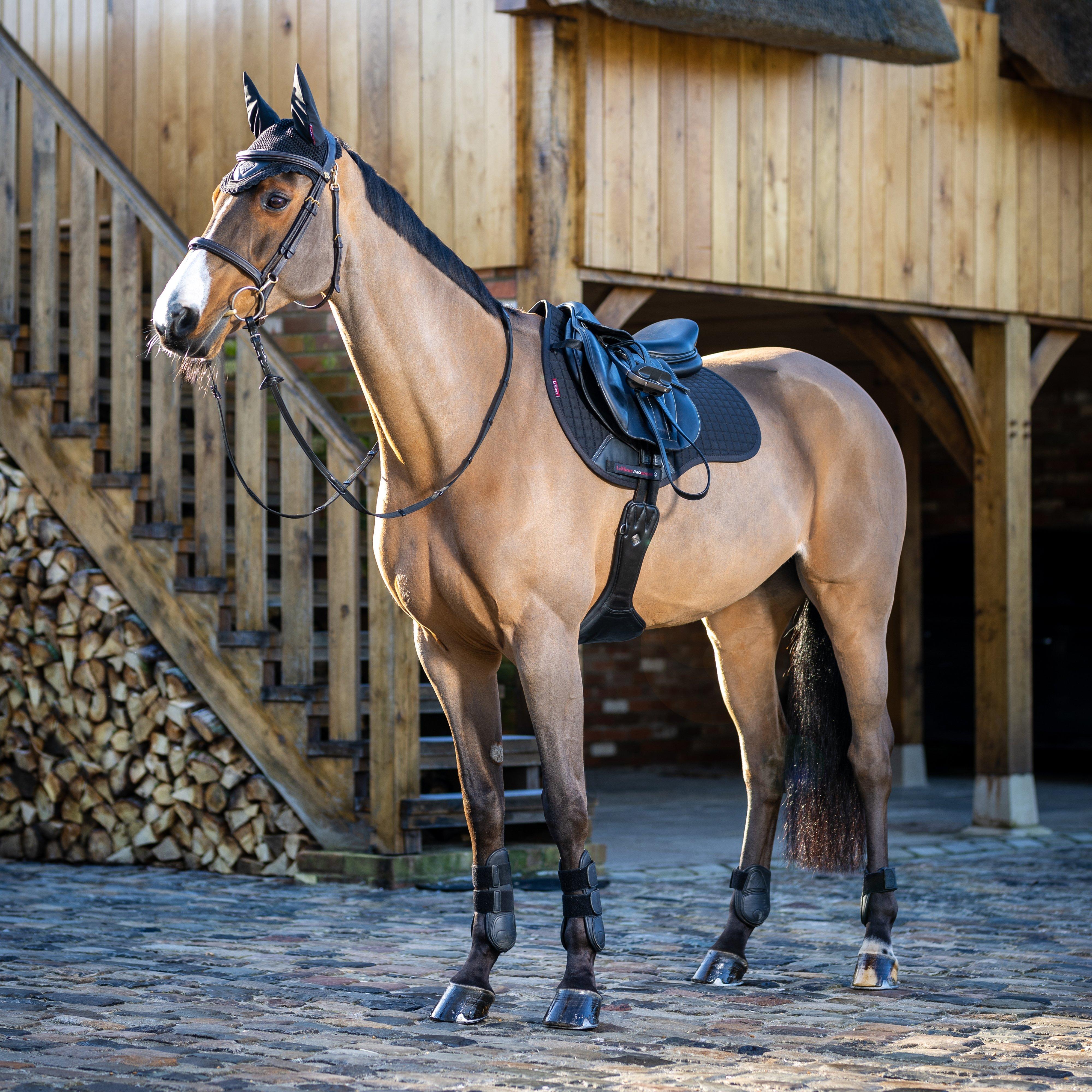 Cotton GP Saddle Pad Black