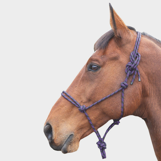 Shires Adjustable Rope Halter Purple/Black