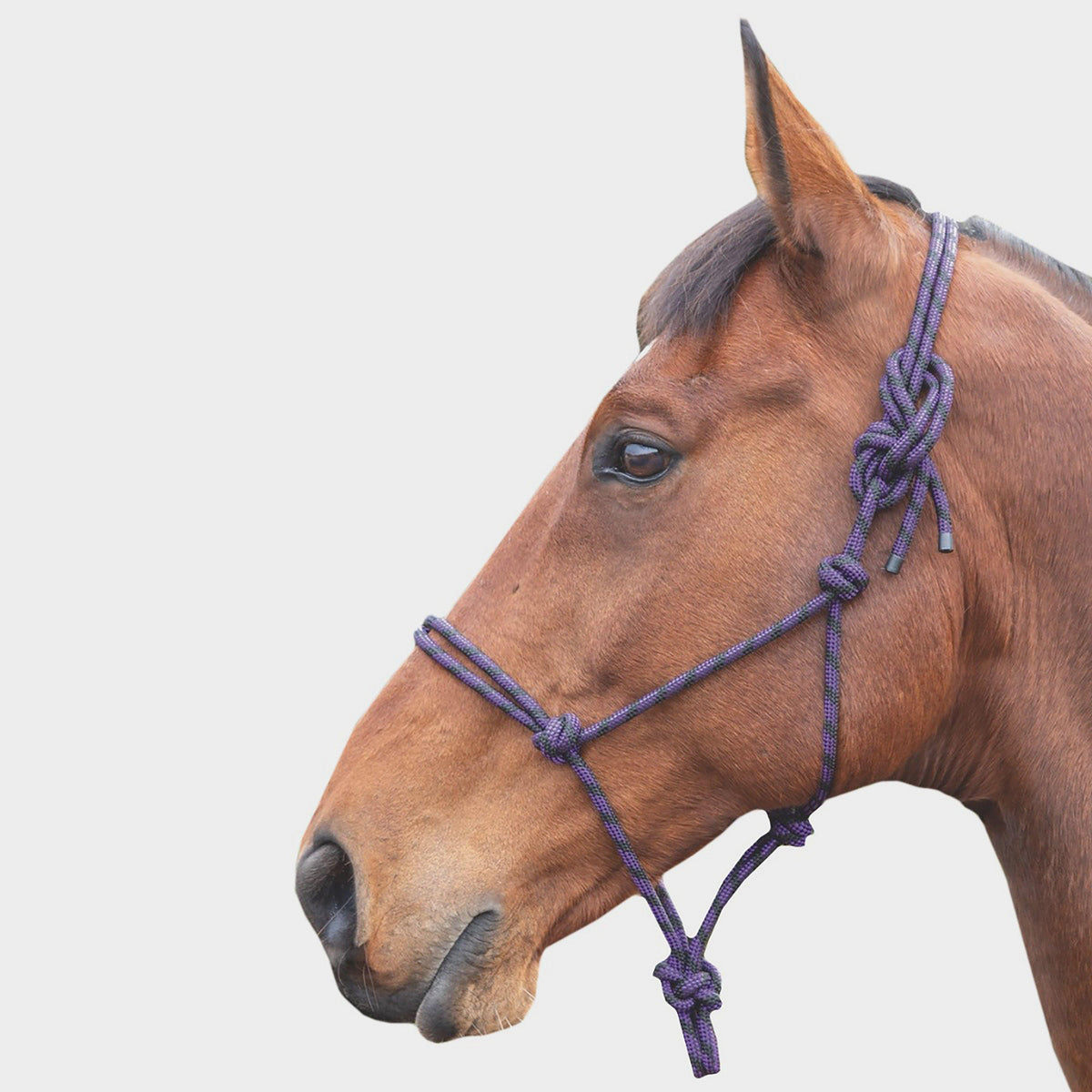 Shires Adjustable Rope Halter Purple/Black