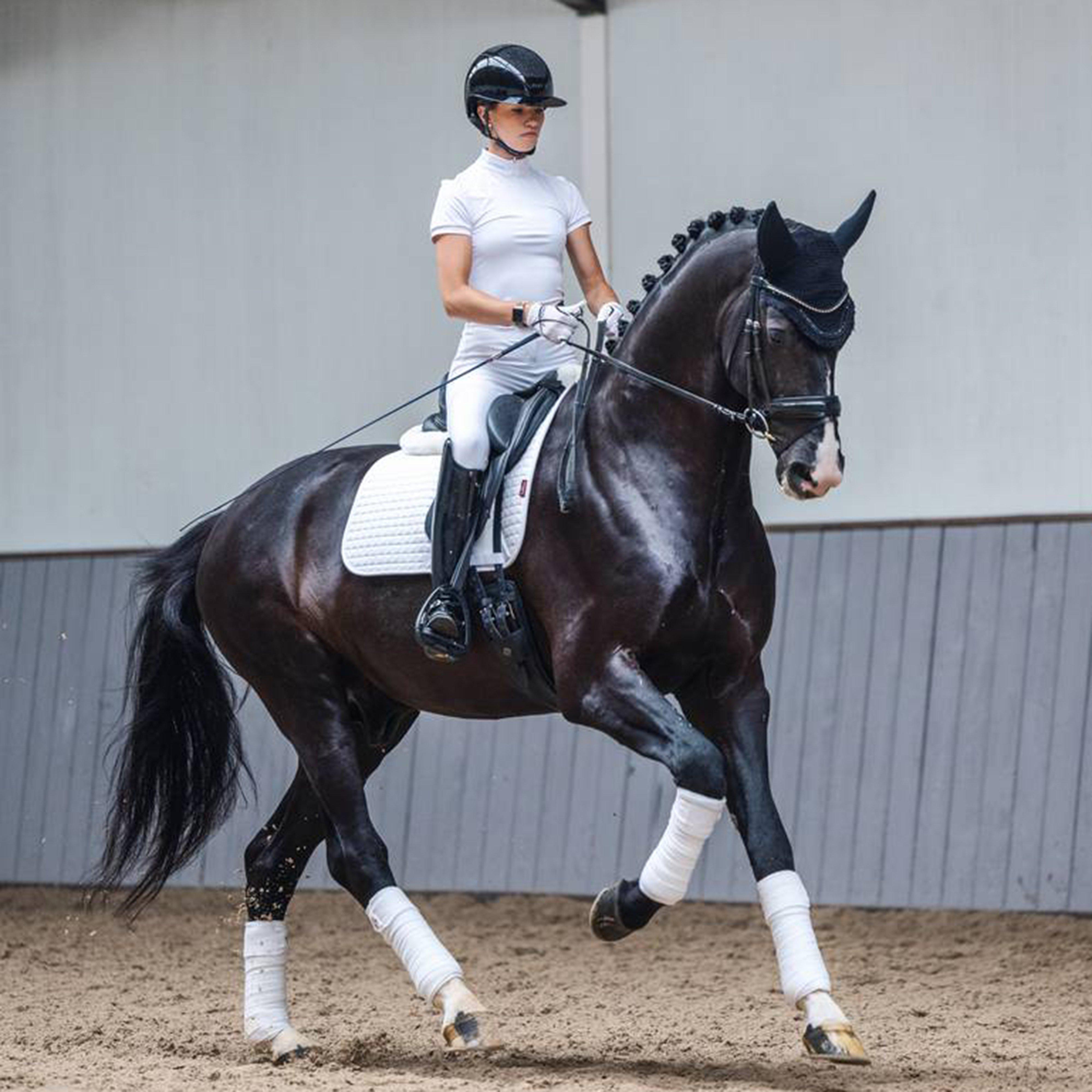 Cotton Dressage Saddle Pad White