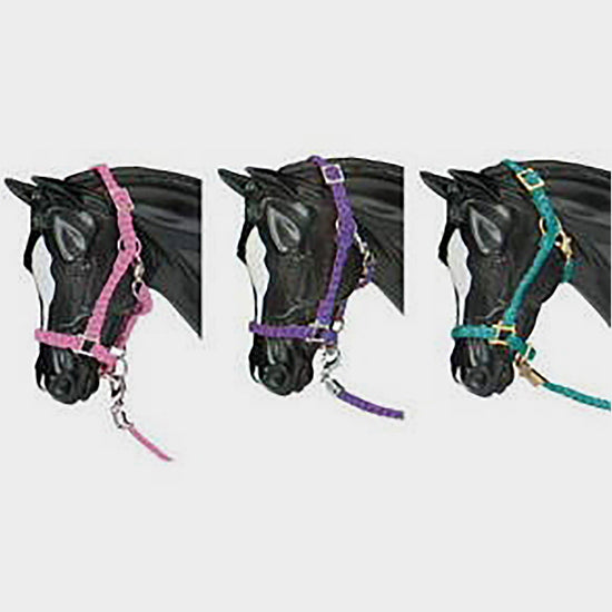 Traditional Nylon Halter Assorted