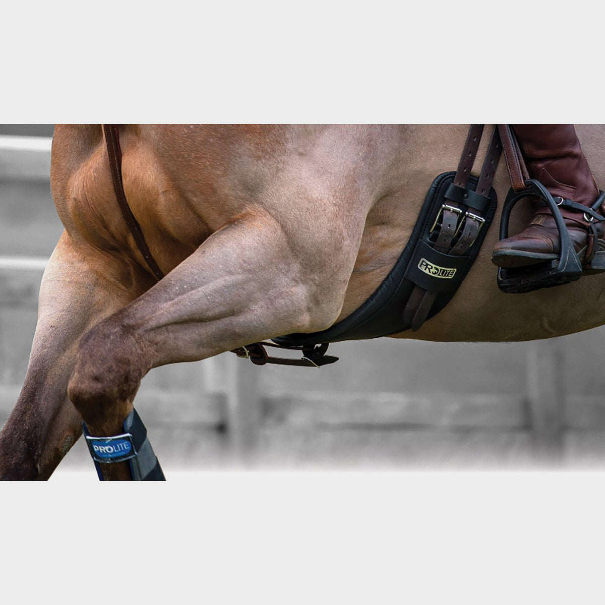 Dressage Girth Brown