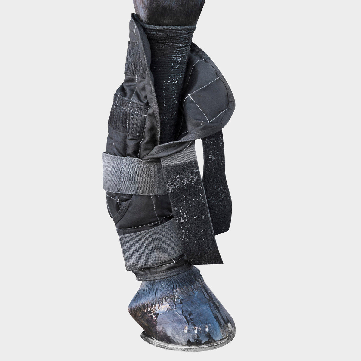 ProCool Cold Water Boots Black