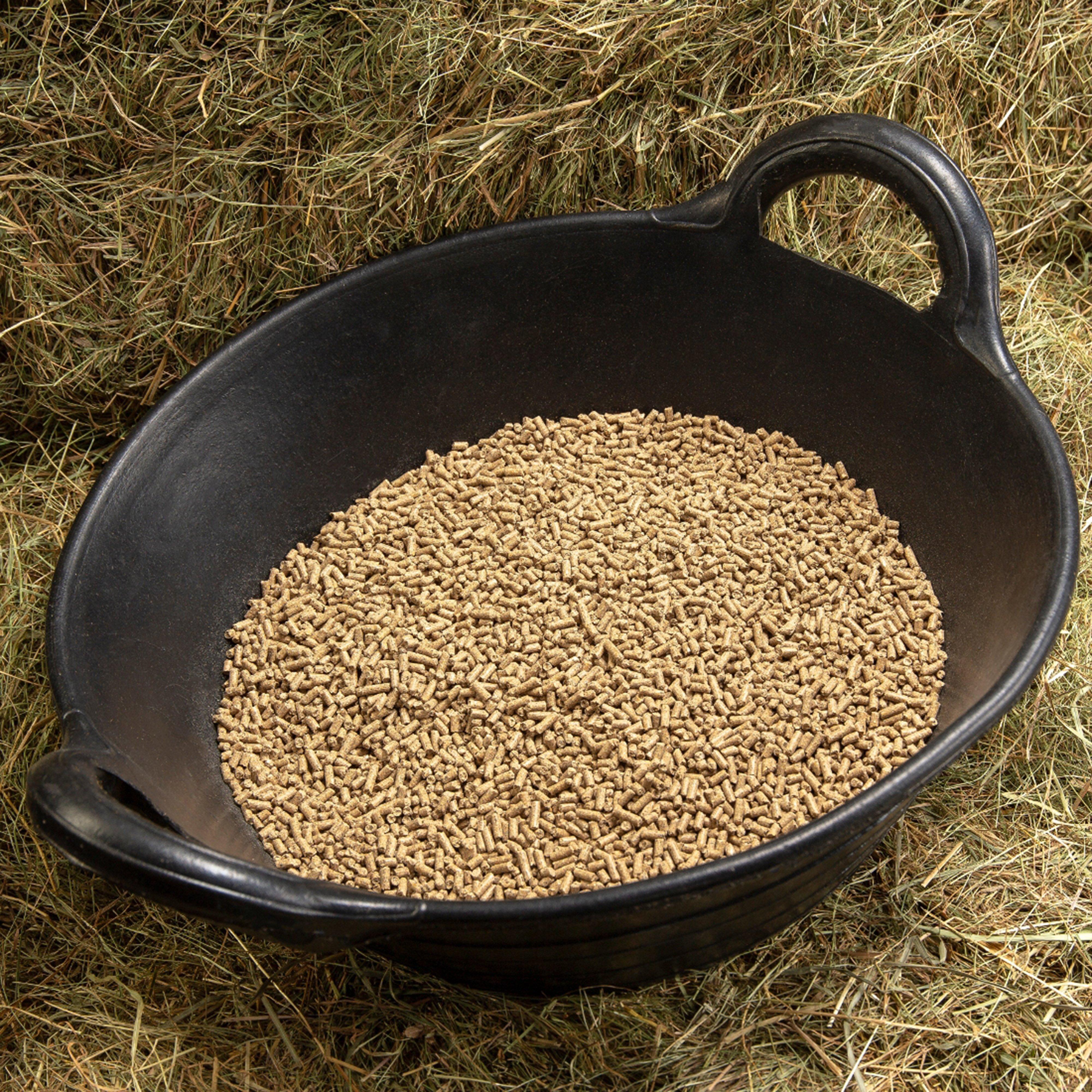 Lite & Lean Balancer