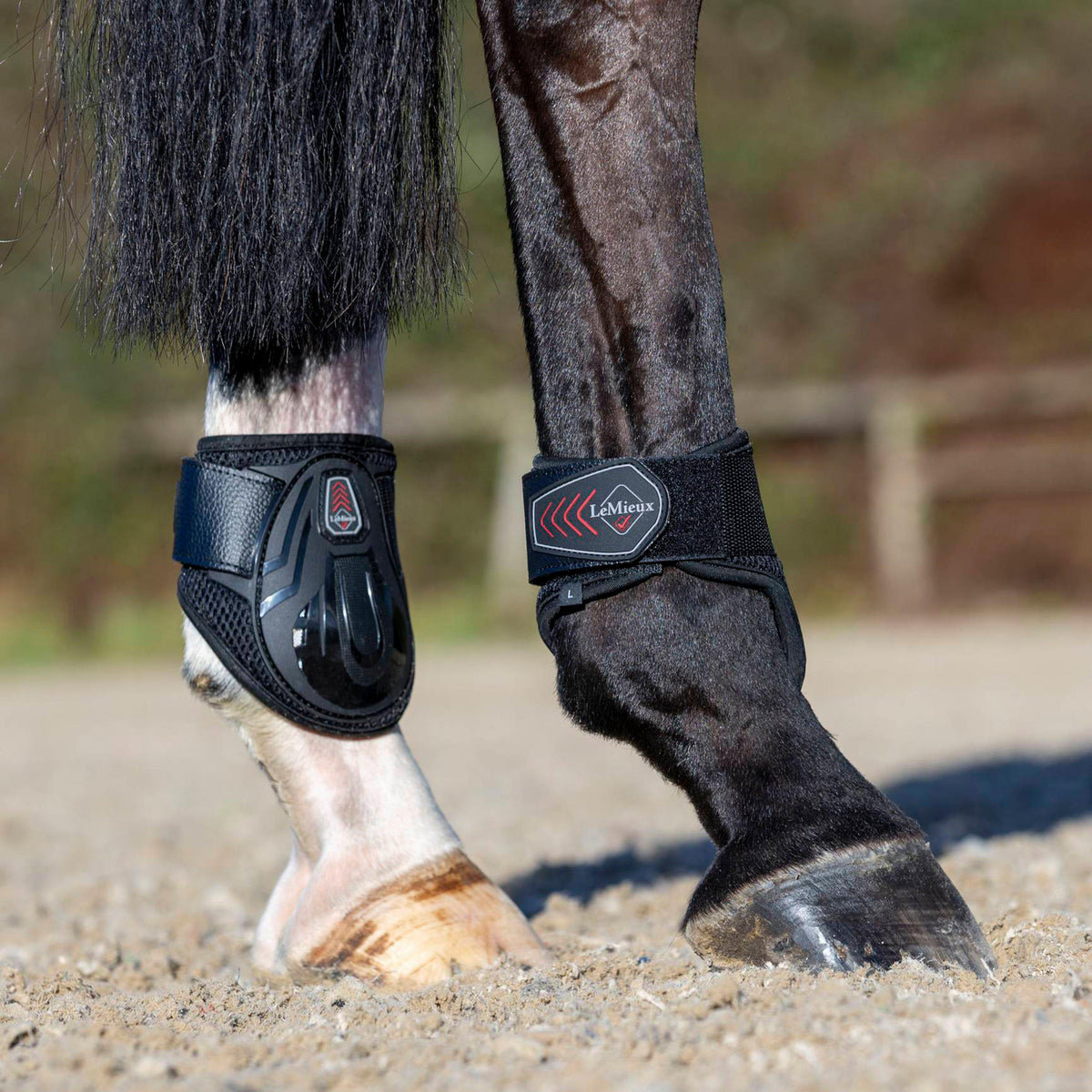 Derby ProJump Fetlock Boots Black