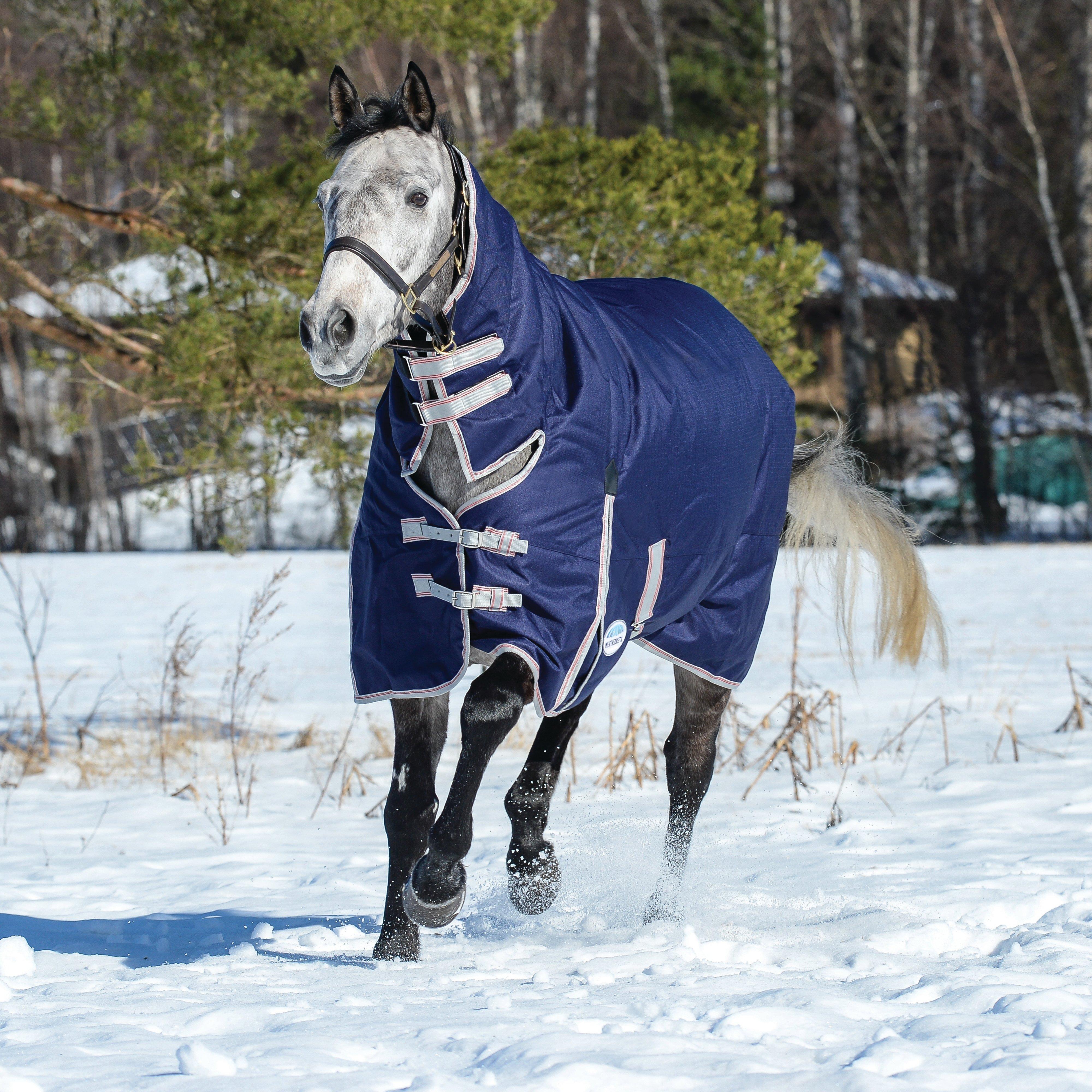 ComFiTec Essential 360g Heavy Weight Combo Neck Turnout Rug Navy/Silver/Red