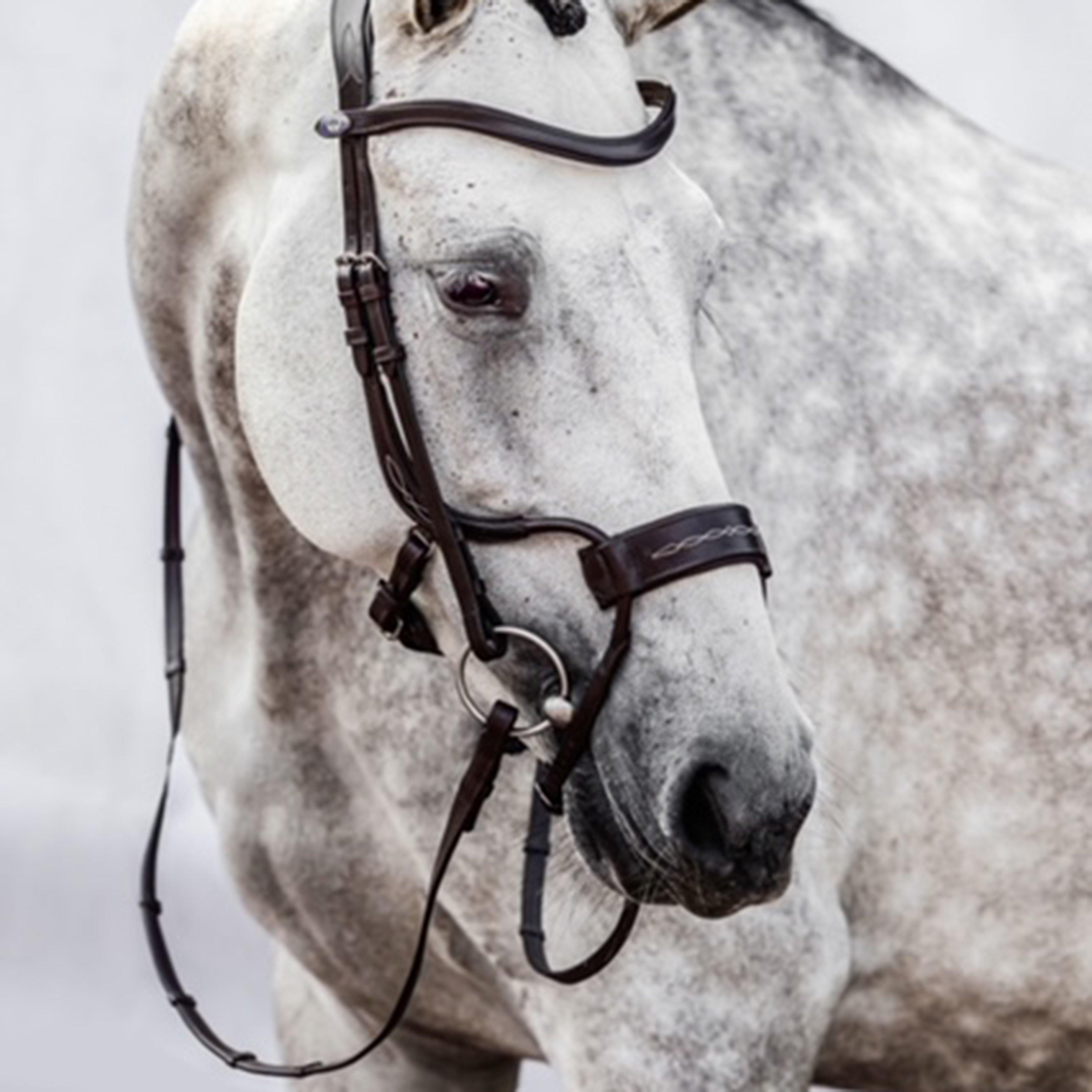 High Jump Revolution Bridle Black