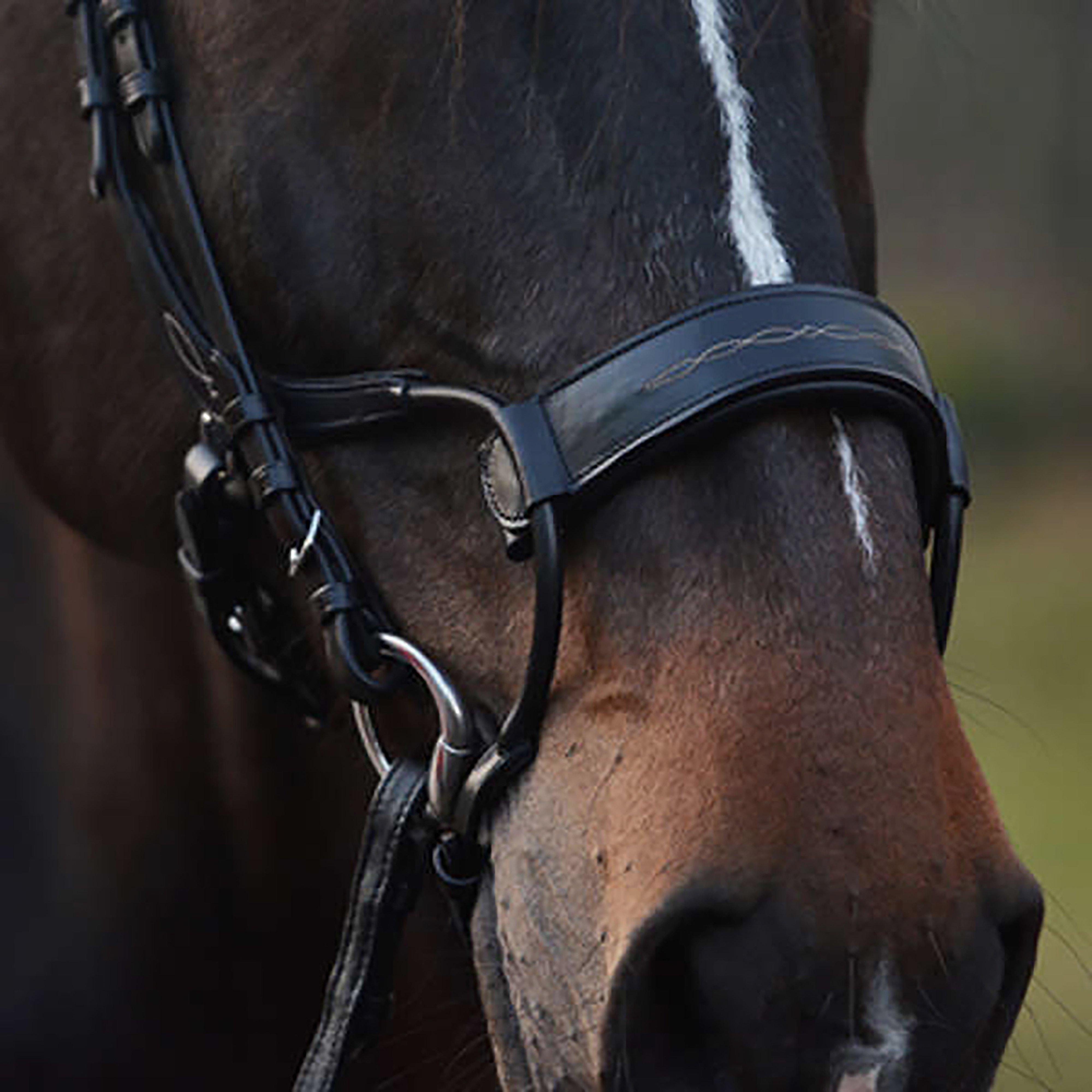 High Jump Revolution Bridle Black