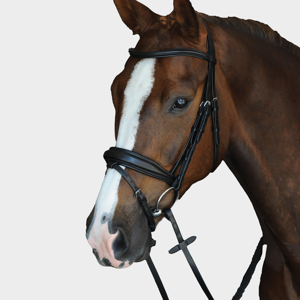 Mono Crown Padded Raised Flash Bridle Black