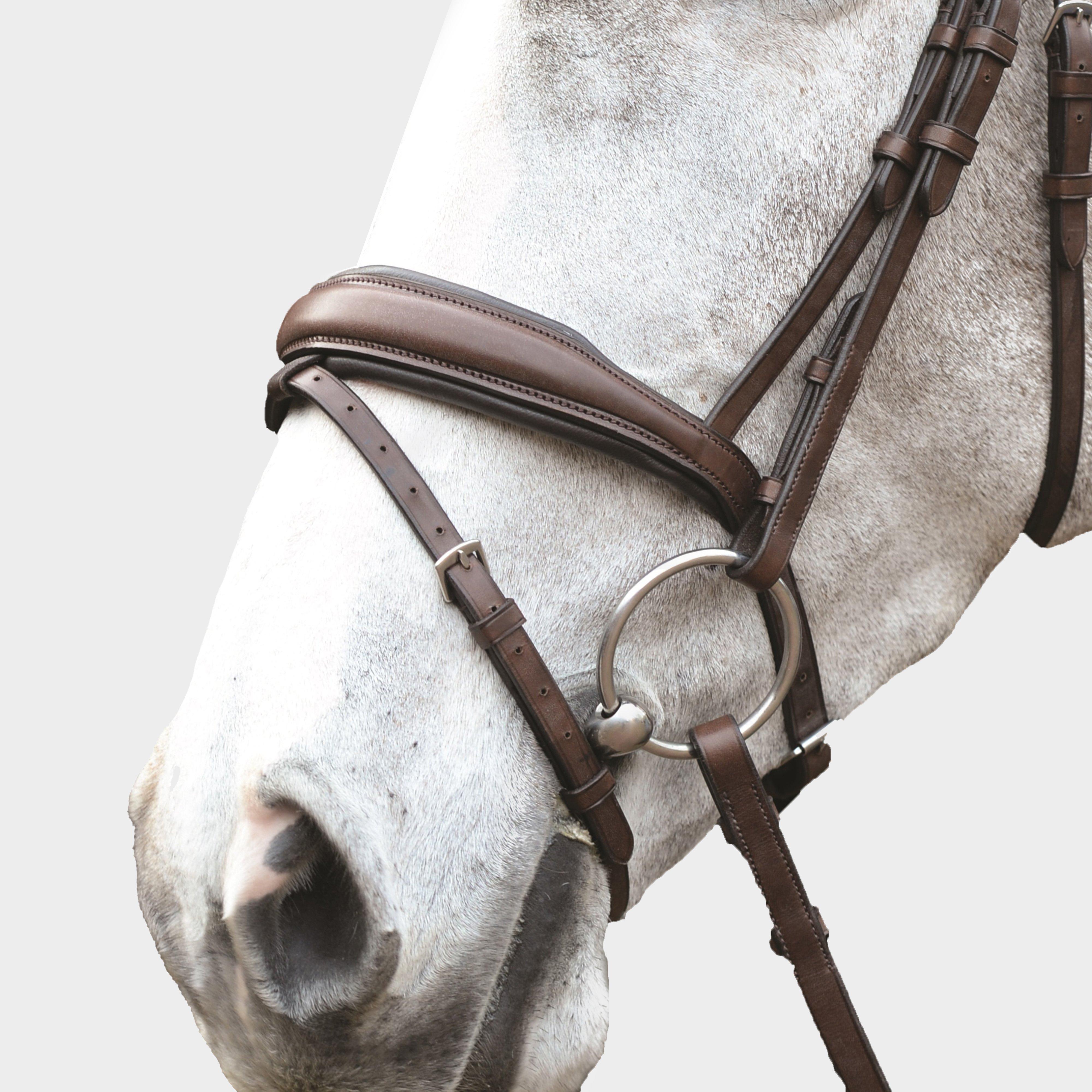 Mono Crown Padded Raised Flash Bridle Brown
