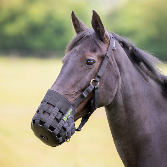 FreeGraze Comfort Grazing Muzzle Black