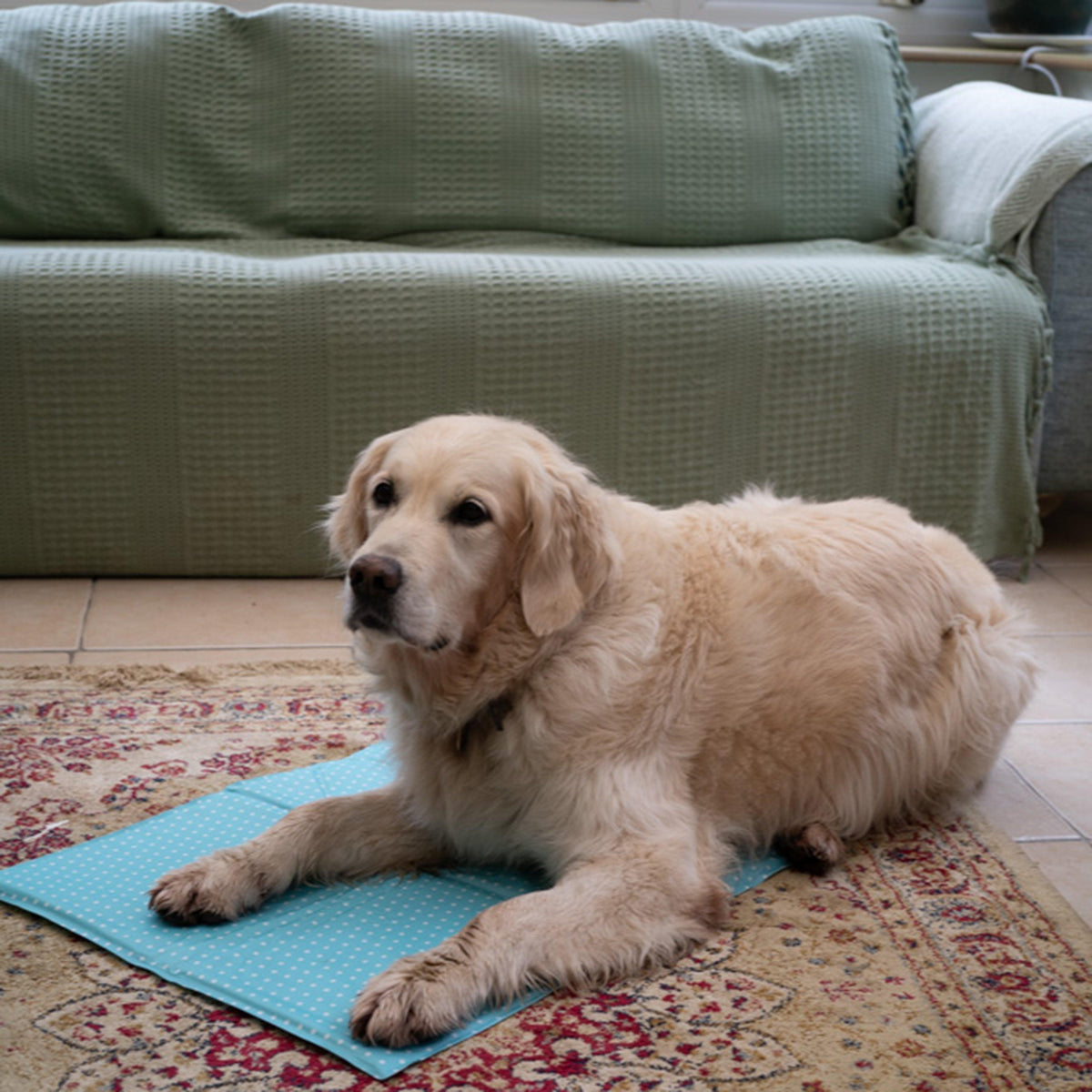 Cooling Pet Mat Blue